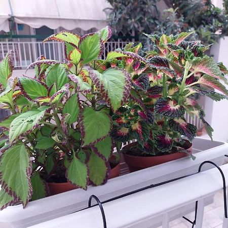Athens Lovio Apartment Εξωτερικό φωτογραφία
